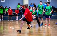 Zweifelderballturnier der Grundschulen Bild: Zweifelderballturnier der Grundschulen