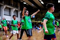Zweifelderballturnier der Grundschulen Bild: Zweifelderballturnier der Grundschulen