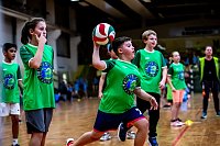 Zweifelderballturnier der Grundschulen Bild: Zweifelderballturnier der Grundschulen