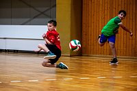 Zweifelderballturnier der Grundschulen Bild: Zweifelderballturnier der Grundschulen