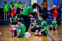 Zweifelderballturnier der Grundschulen Bild: Zweifelderballturnier der Grundschulen