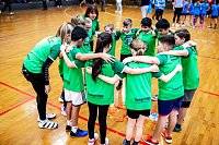 Zweifelderballturnier der Grundschulen Bild: Zweifelderballturnier der Grundschulen