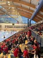 Europäischer Spitzenhandball in der Wiedigsburghalle Bild: Europäischer Spitzenhandball in der Wiedigsburghalle