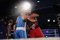 Boxgala in der Wiedigsburghalle Bild: Boxgala in der Wiedigsburghalle