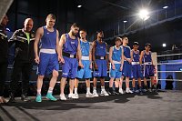 Boxgala in der Wiedigsburghalle Bild: Boxgala in der Wiedigsburghalle