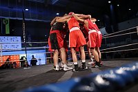 Boxgala in der Wiedigsburghalle Bild: Boxgala in der Wiedigsburghalle