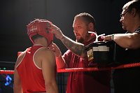 Boxgala in der Wiedigsburghalle Bild: Boxgala in der Wiedigsburghalle