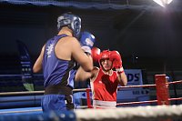 Boxgala in der Wiedigsburghalle Bild: Boxgala in der Wiedigsburghalle