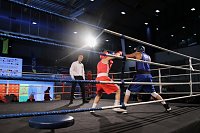 Boxgala in der Wiedigsburghalle Bild: Boxgala in der Wiedigsburghalle