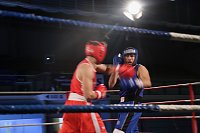 Boxgala in der Wiedigsburghalle Bild: Boxgala in der Wiedigsburghalle