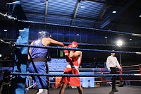 Boxgala in der Wiedigsburghalle Bild: Boxgala in der Wiedigsburghalle