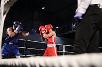 Boxgala in der Wiedigsburghalle Bild: Boxgala in der Wiedigsburghalle
