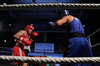 Boxgala in der Wiedigsburghalle Bild: Boxgala in der Wiedigsburghalle