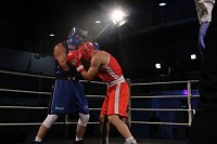 Boxgala in der Wiedigsburghalle Bild: Boxgala in der Wiedigsburghalle
