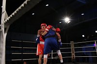Boxgala in der Wiedigsburghalle Bild: Boxgala in der Wiedigsburghalle