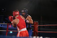 Boxgala in der Wiedigsburghalle Bild: Boxgala in der Wiedigsburghalle