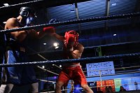 Boxgala in der Wiedigsburghalle Bild: Boxgala in der Wiedigsburghalle