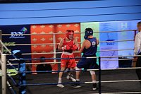 Boxgala in der Wiedigsburghalle Bild: Boxgala in der Wiedigsburghalle