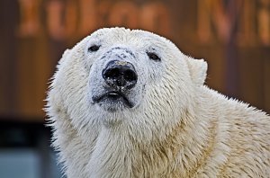 Zoo Hannover