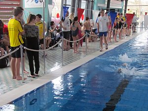 19. Badehaus-Meisterschaft im Schwimmen