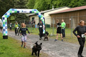 11. Harztorlauf - Am Start und auf der Strecke