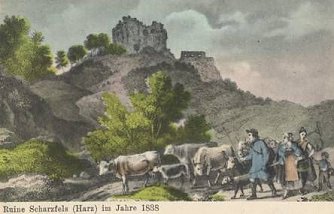 Burg Scharzfeld (Foto: privat)