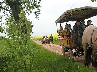 nnz-Kurz-News am Freitag (Foto: nnz)