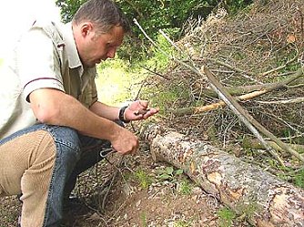 Auf Fress-Tour (Foto: nnz)