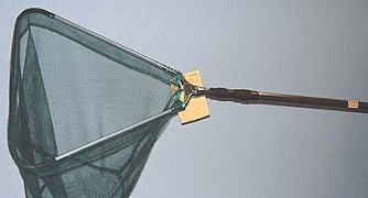 Affen-Diebe werden gesucht (Foto: nnz)