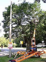 Unrund geschnitten (Foto: nnz)