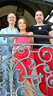 Abger&auml;umt (Foto: nnz)