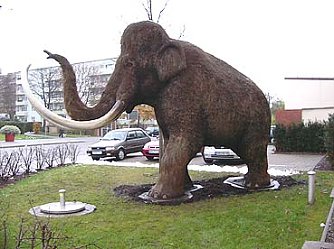 Brandanschlag in Nordhausen (Foto: nnz)