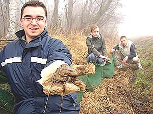 Laichen statt Leichen  (Foto: nnz)