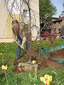 Gr&uuml;nen Punkt gesetzt (Foto: nnz)