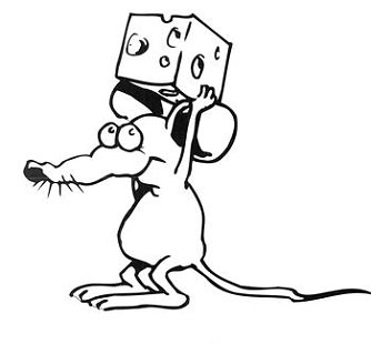 M&auml;use (Foto: privat)