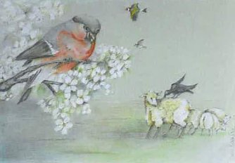 Bambach (Foto: privat)