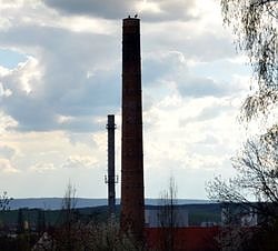 Neugierige Tiere (Foto: privat)