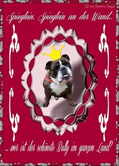 Poster (Foto: S. Witzel)