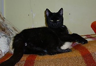 Mia (Foto: C. Knust)