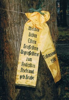 Schleife an einem Baum des Alten Friedhofs (Foto: Archiv Kneffel)