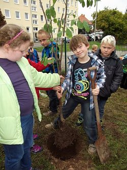 Neue B&auml;ume (Foto: privat)