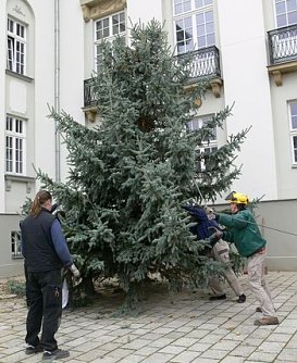 Der erste steht (Foto: Theater Nordhausen)