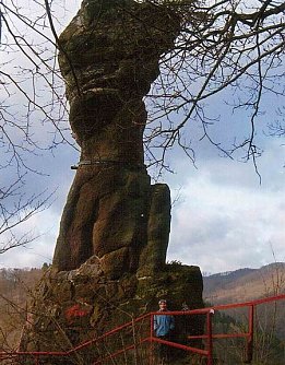 G&auml;nseliesel (Foto: Archiv Rasemann)