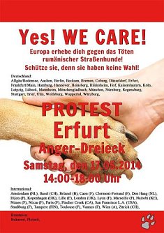 Flyer (Foto: privat)