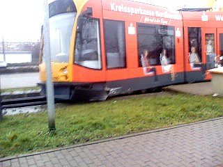 Rausgesprungen (Foto: Scholz)