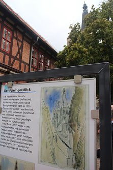 Noch verdeckt dichtes Gr&uuml;n den "Feininger Blick" (Foto: Angelo Glashagel)