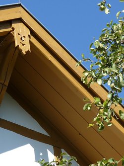 Klarer Blick in Limlingerode (Foto: Archiv Kneffel)