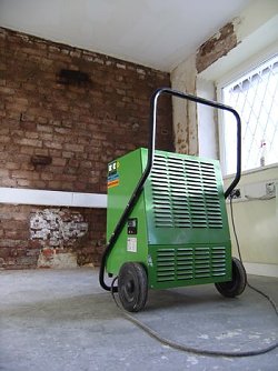 Wasserschaden beseitigen (Foto: Lift)