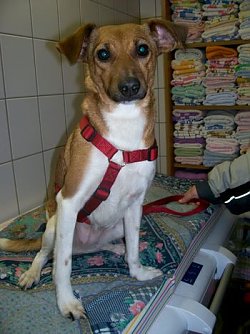 Ausgesetzt (Foto: Knust)