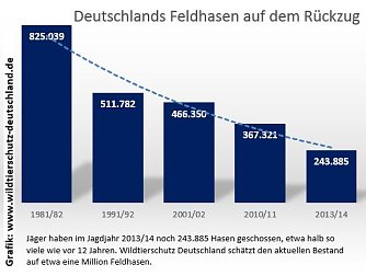 Grafik (Foto: Wildtierschutz Deutschland)